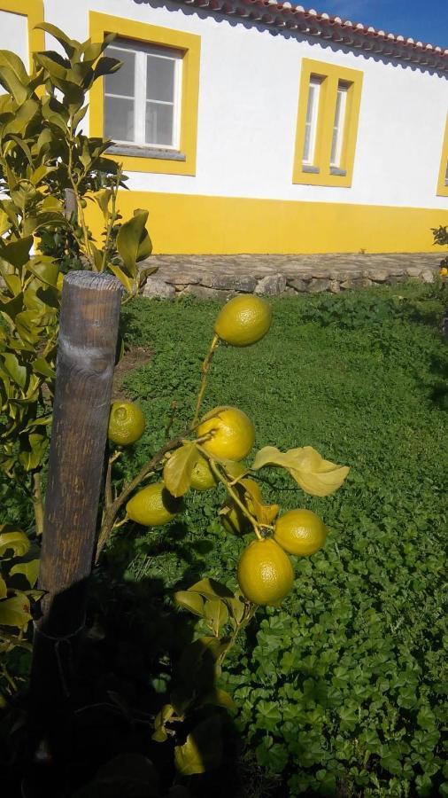 Casa Das Amoras Santo António das Areias エクステリア 写真